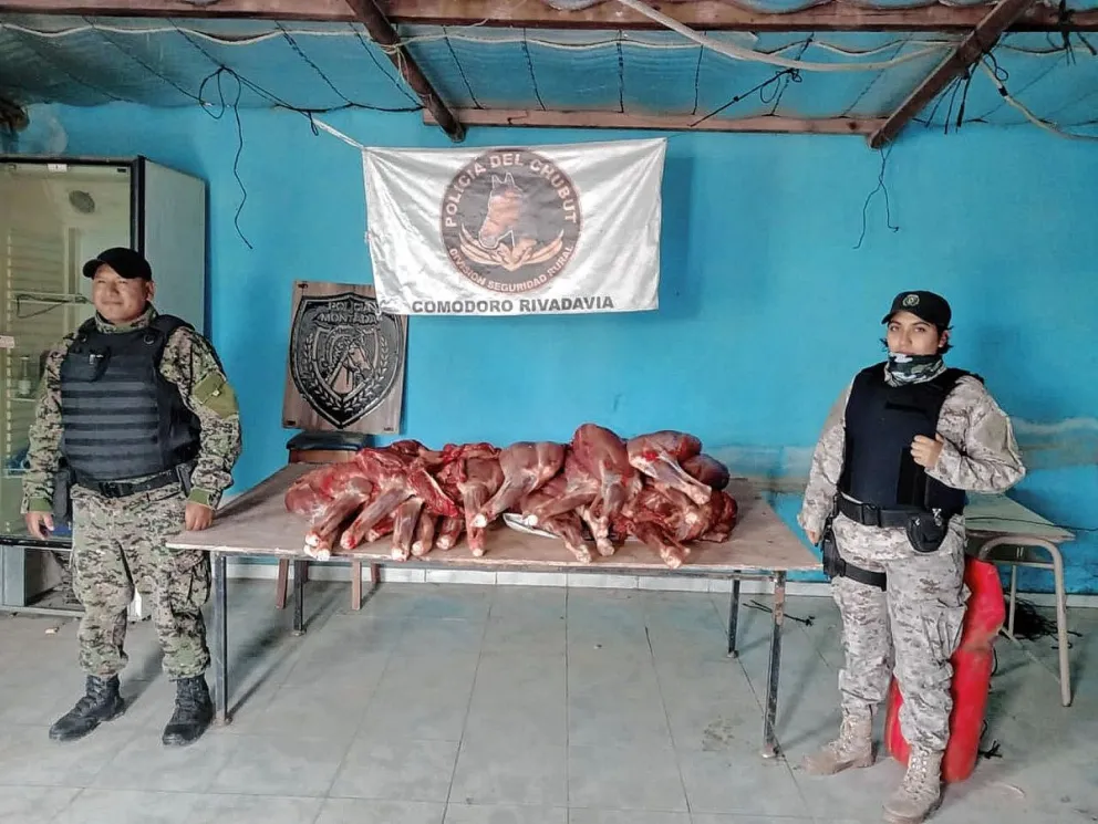 Quemaron cuatro guanacos depostados que secuestraron a una pareja de cazadores furtivos