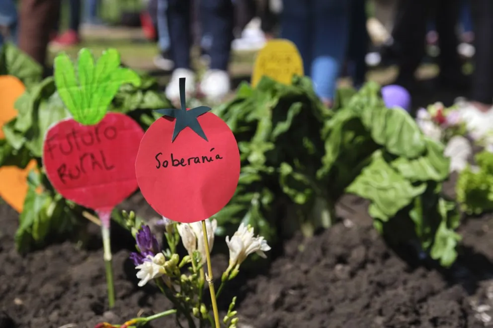 Gobiernos y organismos internacionales acuerdan agilizar agenda contra cambio climático en sector agroalimentario