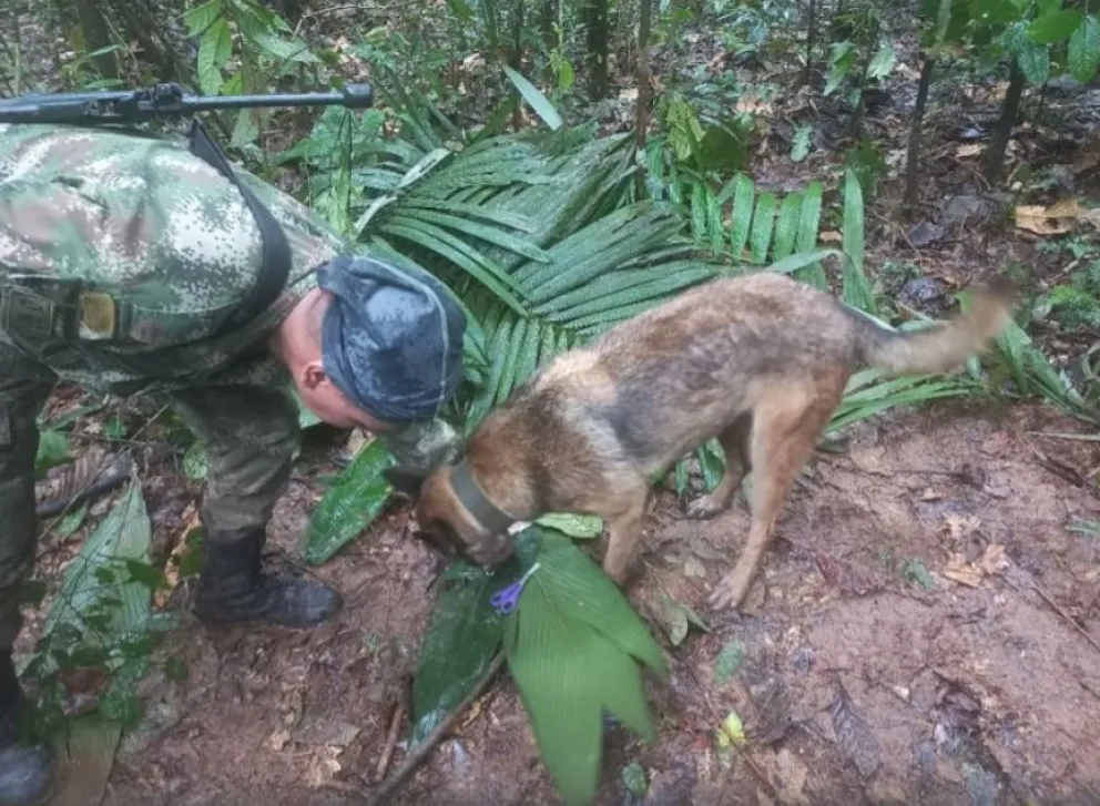Colombia sigue buscando a cuatro niños perdidos en la selva: Petro se equivocó