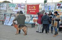 Proteccionistas y vecinos marcharon en contra del maltrato animal