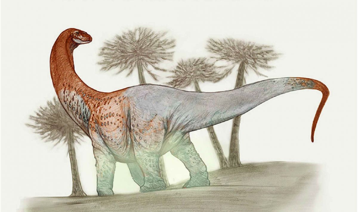 Encuentran en Río Negro un dinosaurio gigante de 90 millones de años
