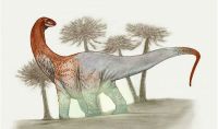 Encuentran en Río Negro un dinosaurio gigante de 90 millones de años
