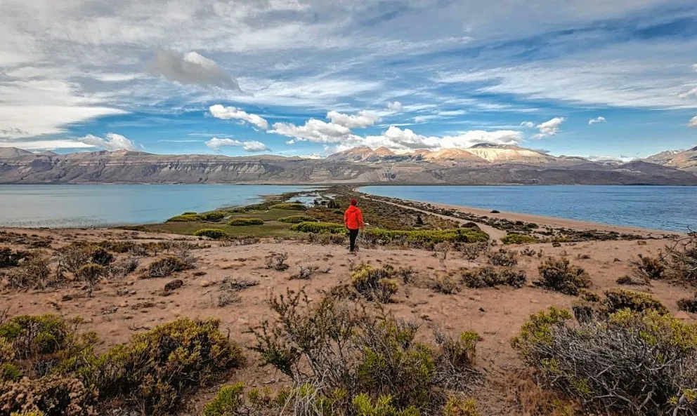 Se pone en marcha una misión comercial patagónica en Estados Unidos