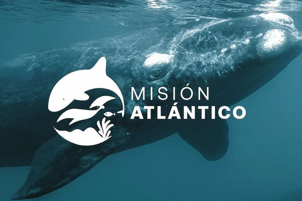 Comodoro se prepara para ser sede del Congreso Misión  Atlántico que impulsa el cuidado del Mar Argentino