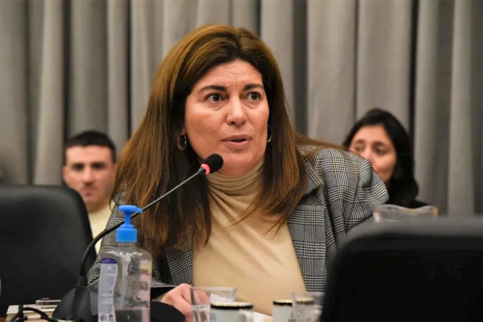 Ana Clara Romero resaltó que la violencia digital es otro tipo de violencia de género