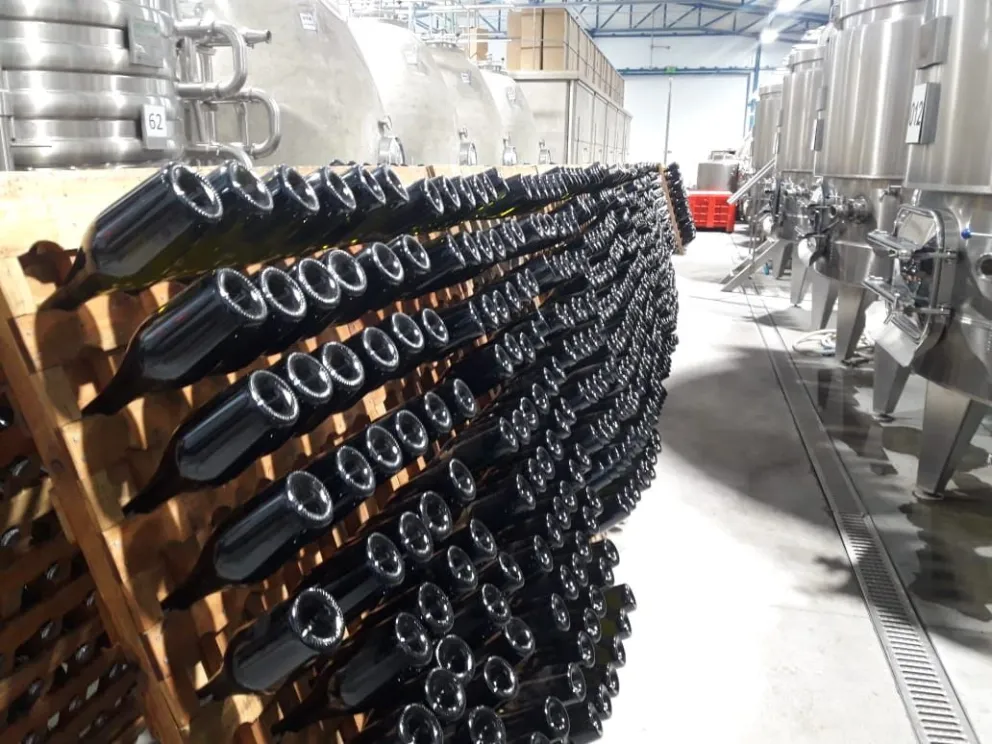 Se destinarán 300 millones de pesos en Aportes No Reembolsables para impulsar al turismo del vino en la Argentina
