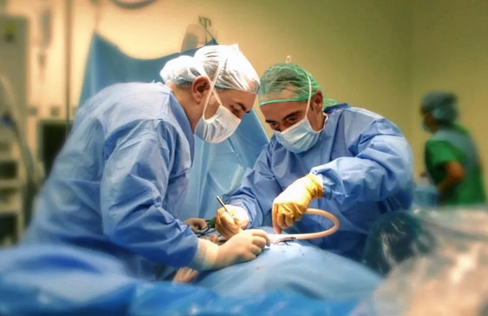 Día mundial de los pacientes trasplantados