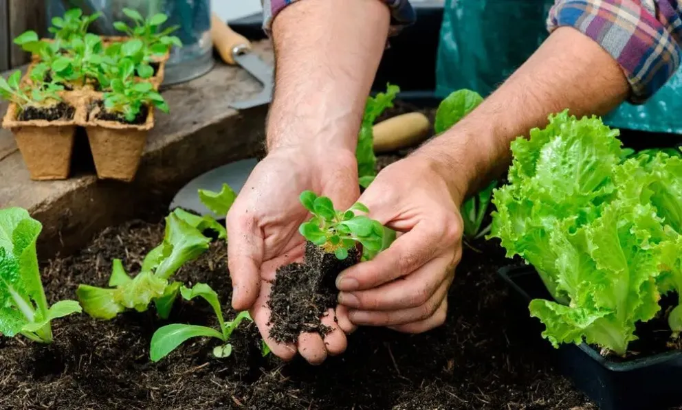 Taller de huerta urbana familiar en Rada Tilly