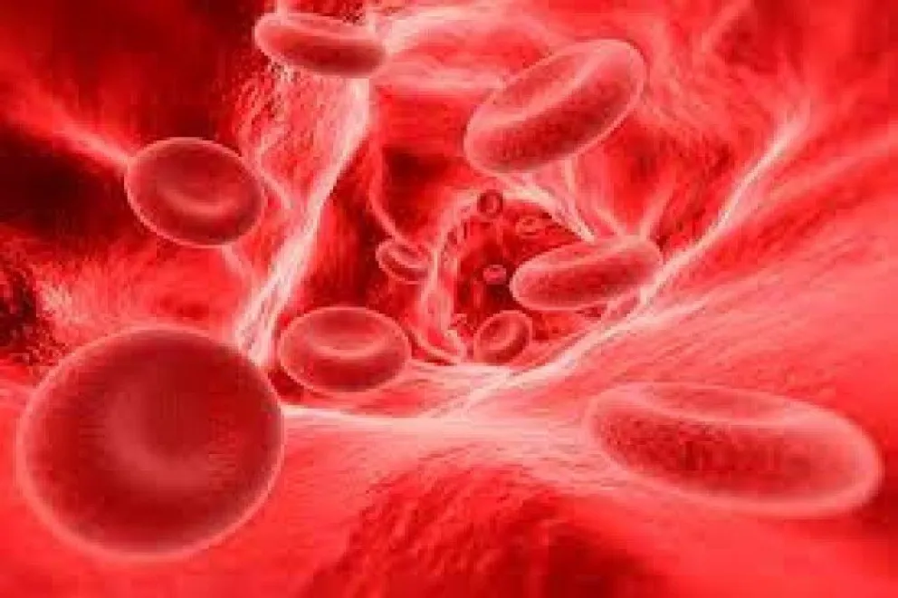 Un nuevo tratamiento para la hemofilia ya está disponible en Argentina
