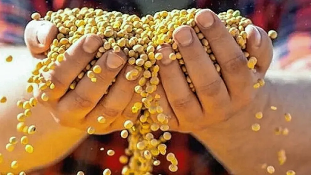Bunge adquirió a Viterra por US$ 8.200 millones y nace un nuevo gigante agroindustrial