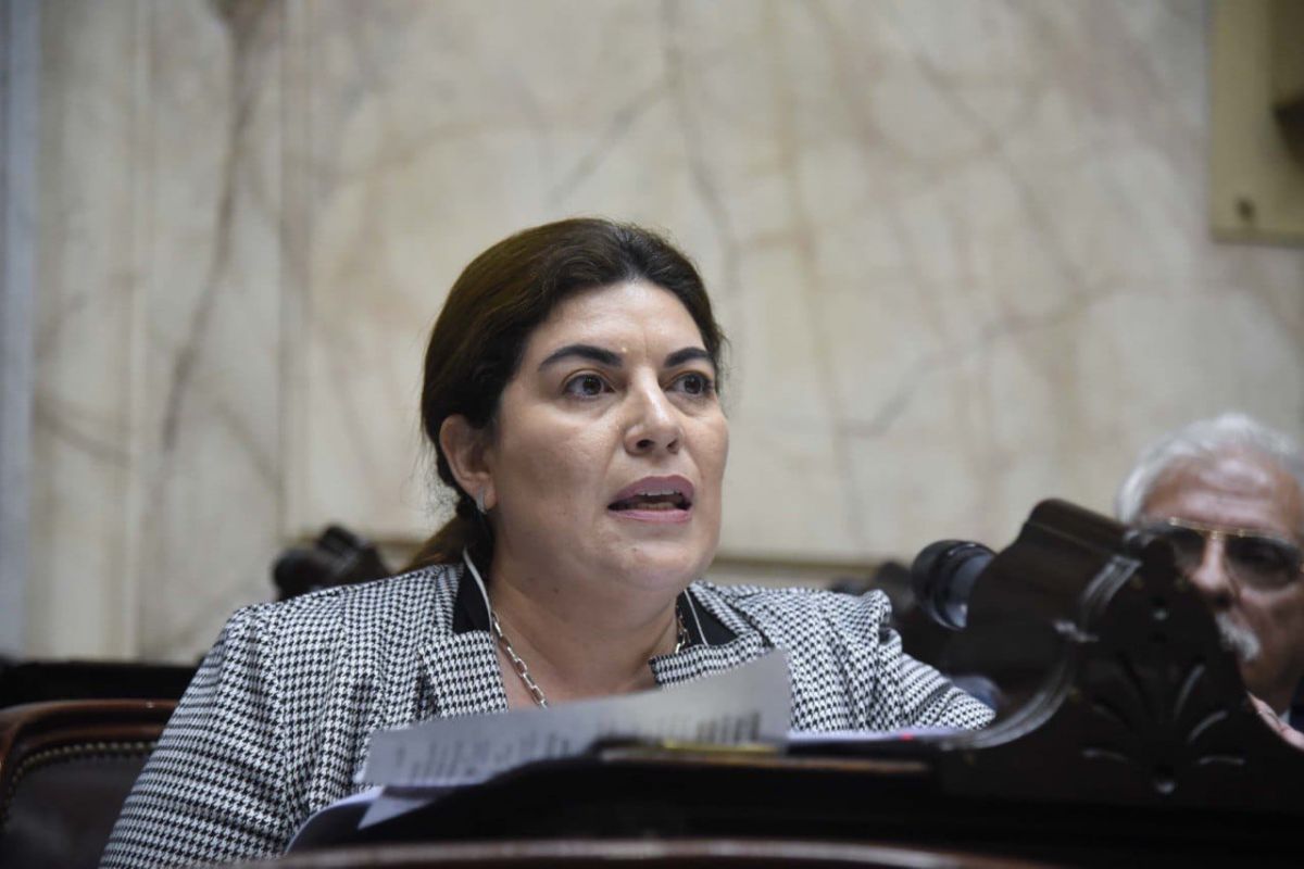 Ana Clara cruzó al jefe de Gabinete de la Nación: "No lo escuché hablar de las obras pendientes que esperan los comodorenses"