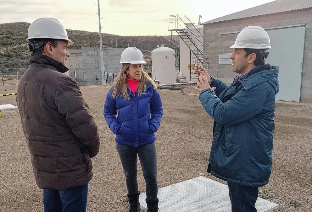 El ministro Cerdá acompañó a la enviada de la Embajada Británica en la recorrida por la planta de hidrógeno