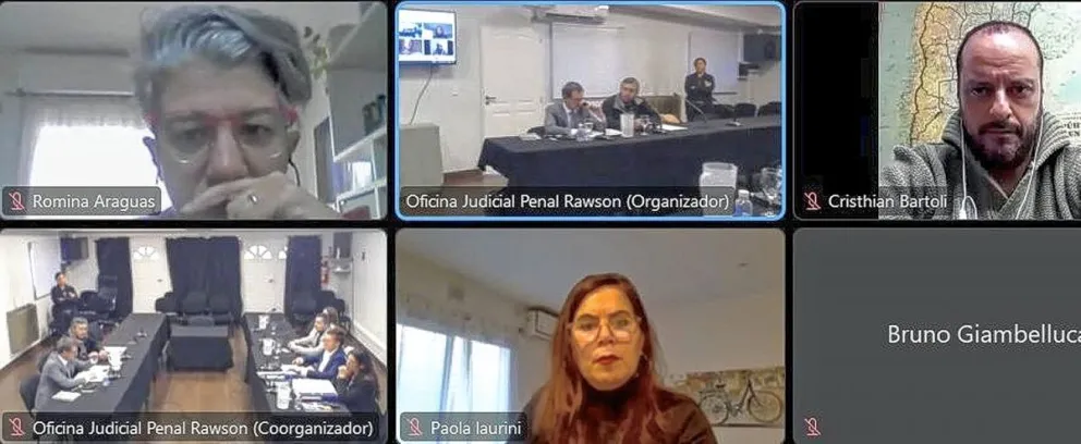 Muerte de pingüinos en Punta Tombo: abrieron investigación contra el dueño del campo que destruyó cientos de nidos