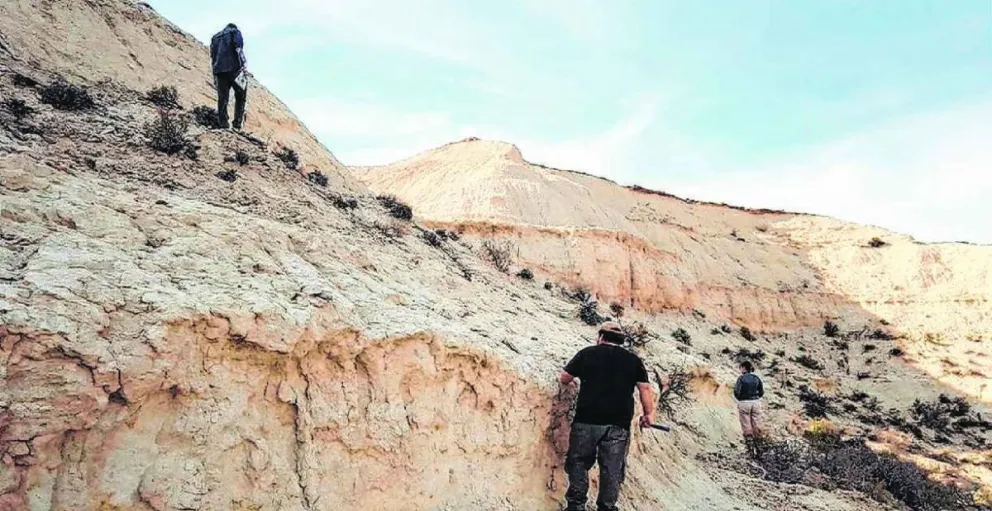 Especialistas del CONICET bautizan un nuevo fósil en homenaje a Lionel Messi