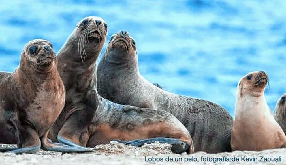 Mañana comienza el congreso Misión Atlántico