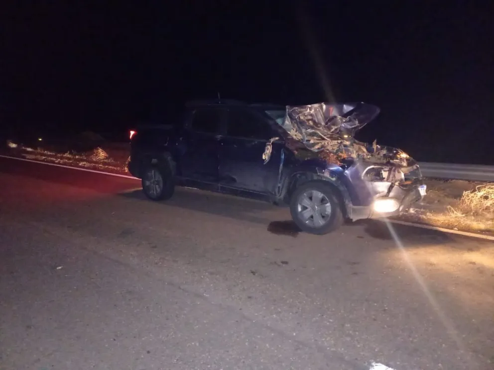 Sarmiento: embistieron a un caballo que se cruzó en la ruta