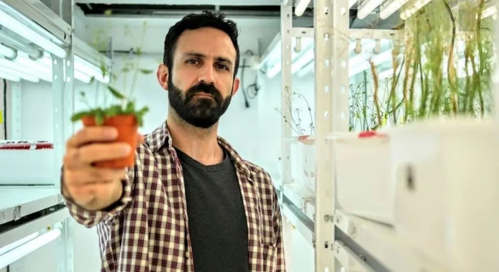 Investigador del CONICET ganó el UNESCO – Fundación Al-Fozan International Prize, premio dedicado a jóvenes investigadores/as 